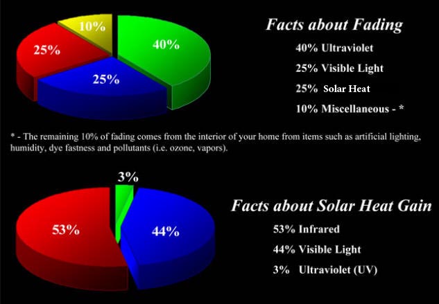 Pie Chart For UV Rays